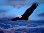 Flying Eagle