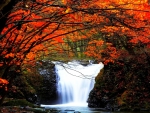 Autumn Waterfall