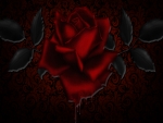 Blood Rose