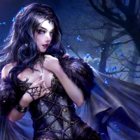 Midnight Butterflies