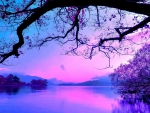 Purple landscape