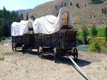 Covered Wagons
