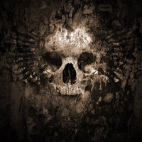 Skull Wallpaper