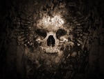 Skull Wallpaper
