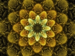 Fractal Flower