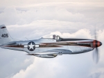 north american p51 mustang