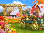 Pumpkin Patch