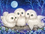 Owl Triplets