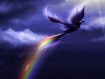 Rainbow Bird