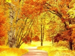 Autumn Path