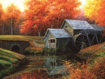 The Old Mill in October