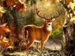 Whitetail in Fall