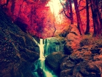 Autumn Forest Waterfall
