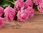 *PinK_RoSeS*