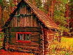 Autumn Shed