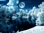 Winter Moon