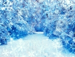 Winter Path