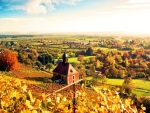 Autumn Vineyard Colors,Germany