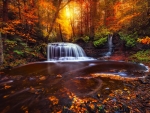 Waterfall in autumn forest