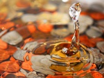 Orange Waterdrop