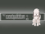 Akamaru