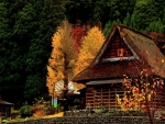 Cottage in Autumn Forest