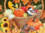 Harvest Basket