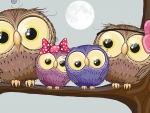 Owl FAmily