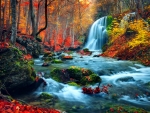 Forest waterfall in autumn