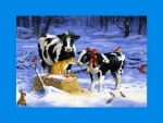 Holiday cows