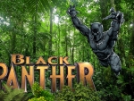 Black Panther.