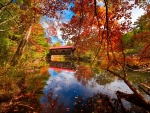 Covered bridge in autumn