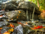 Autumn Falls