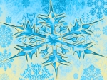 Two Toned Snowflakes
