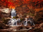 Autumn cascades