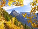 Autumn Mountain