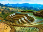 Wonderful Terraces