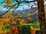 Autumn in the Alps