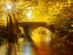 Autumn bridge