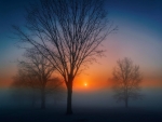 Fog at sunrise