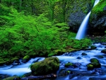 Waterfall with Green Moss