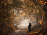 autumn walk