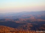 Whitetop Mountain View