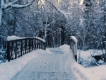 snowfall on the Bridge