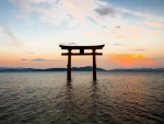 Torii Gate