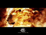 lion king flame