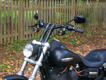 Dyna Street Bob