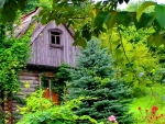 A House among Greenery