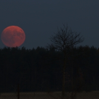 red moon rising