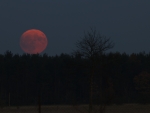 red moon rising